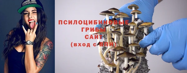 экстази Михайлов