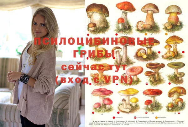 прущая мука Медногорск