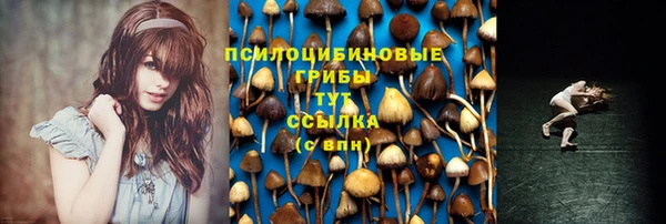 сатива Магадан
