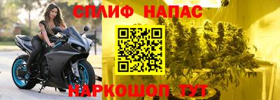 гашик Канаш