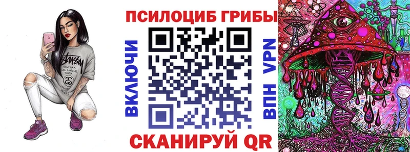 МЕГА tor  Ревда  Галлюциногенные грибы GOLDEN TEACHER  где купить наркоту 
