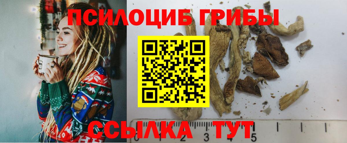 Галлюциногенные грибы GOLDEN TEACHER  купить закладку  Псилоцибиновые грибы Cubensis  Ревда 