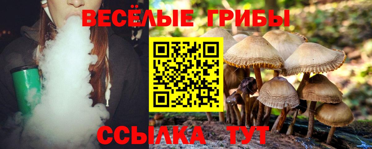 Псилоцибиновые грибы ЛСД Ревда