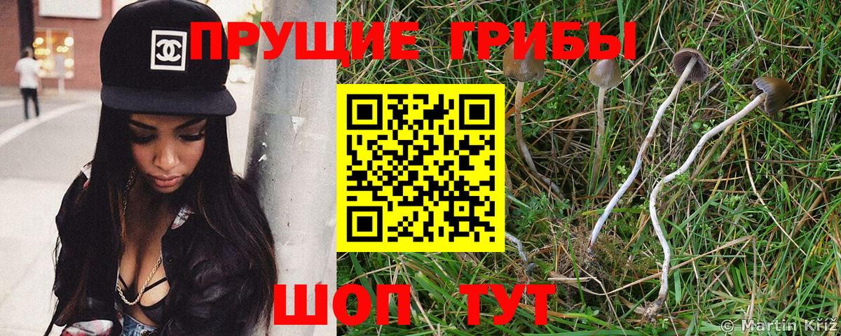 Псилоцибиновые грибы мухоморы  Вход с VPN  Ревда 